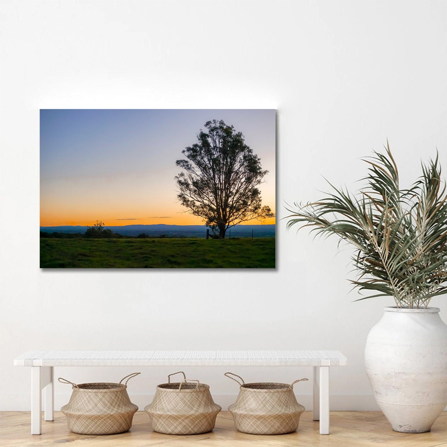 Solitary Tree at Sunset - Coastal Canvas Print - Seaside Beach Photography Wall Decor Canvas