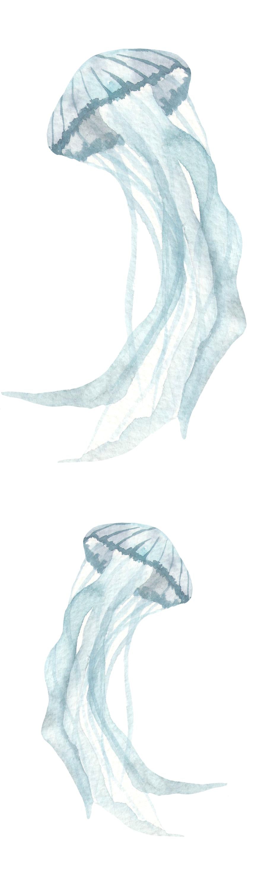 Underwater World Marine Sea Life Wall Decal - Whale Shark Turtle Squid Jelly Fish - BR032