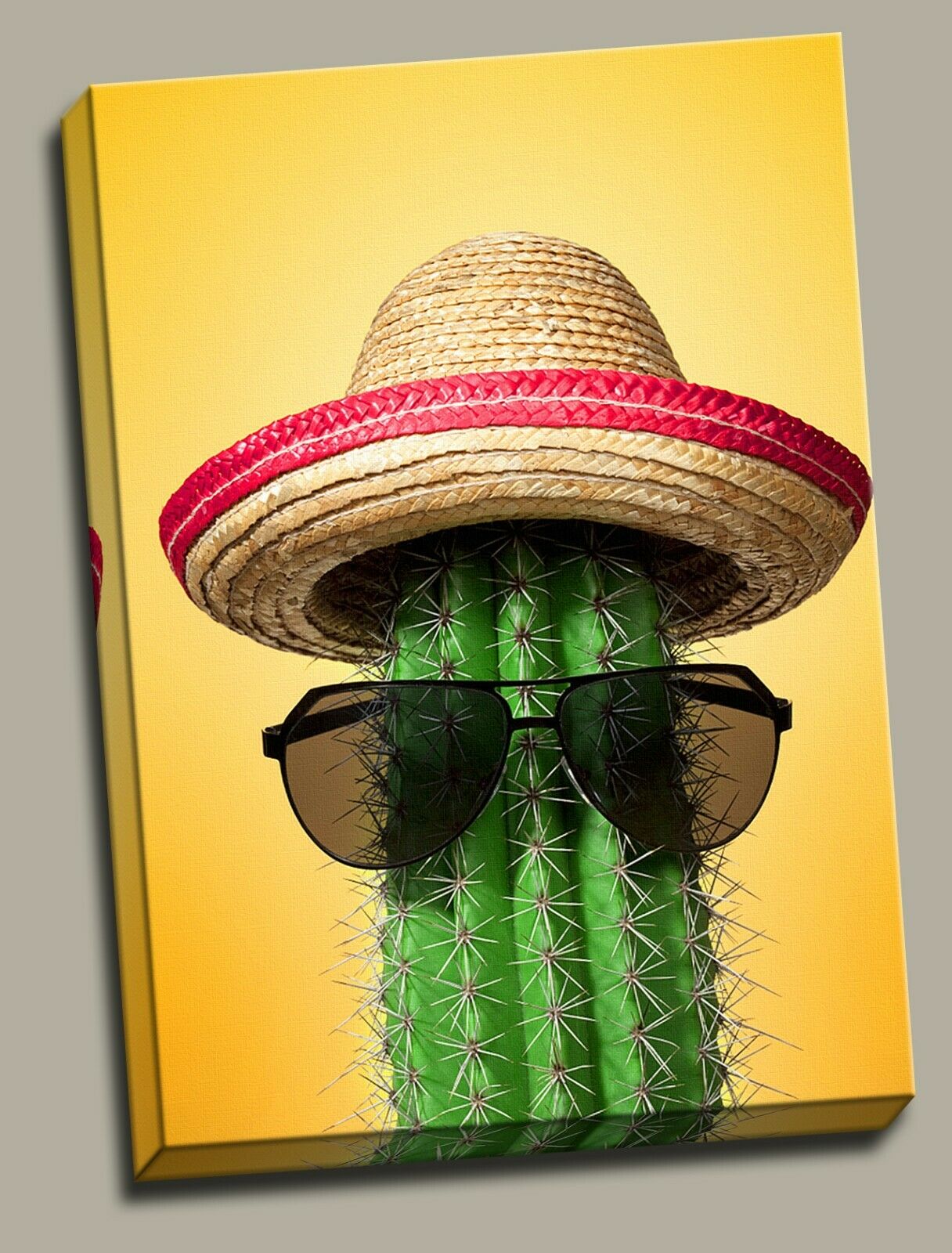 Cactus with Hat and Sunglasses Framed Canvas Modern wall art Home Decor Print
