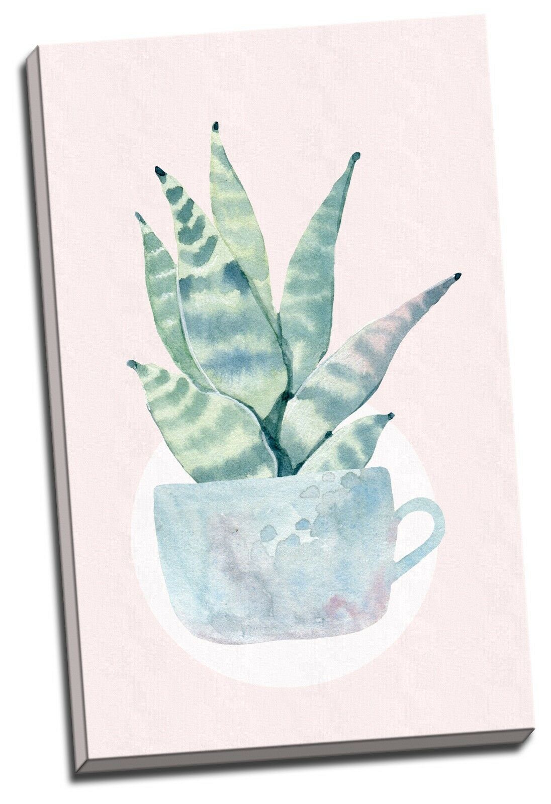 Aloe Aloes Watercolour Framed Canvas Prints Modern Wall Art Home Decor Print