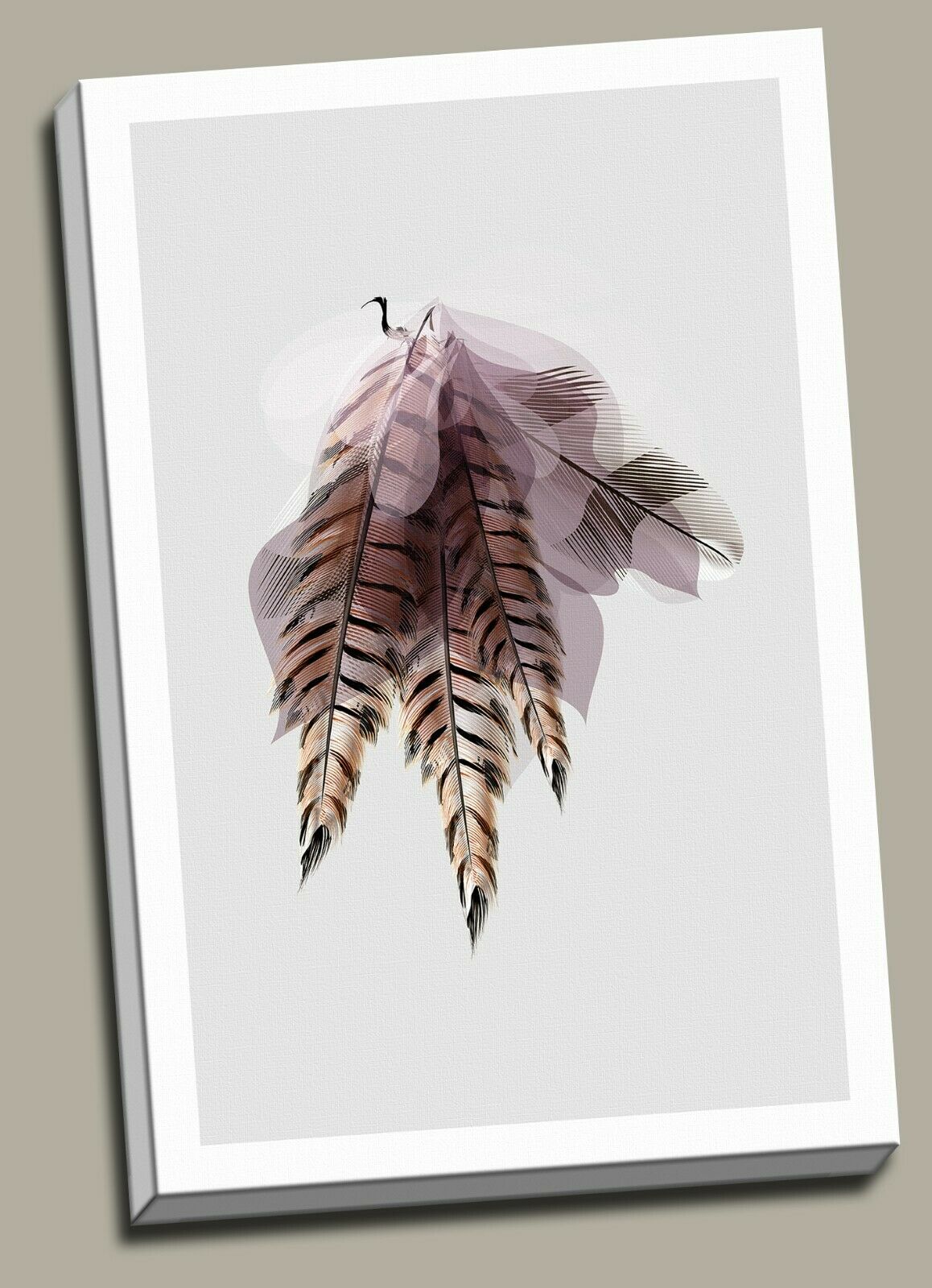 Bird Peacock Feather Colorful Framed Canvas Prints Modern Wall Art Home Decor