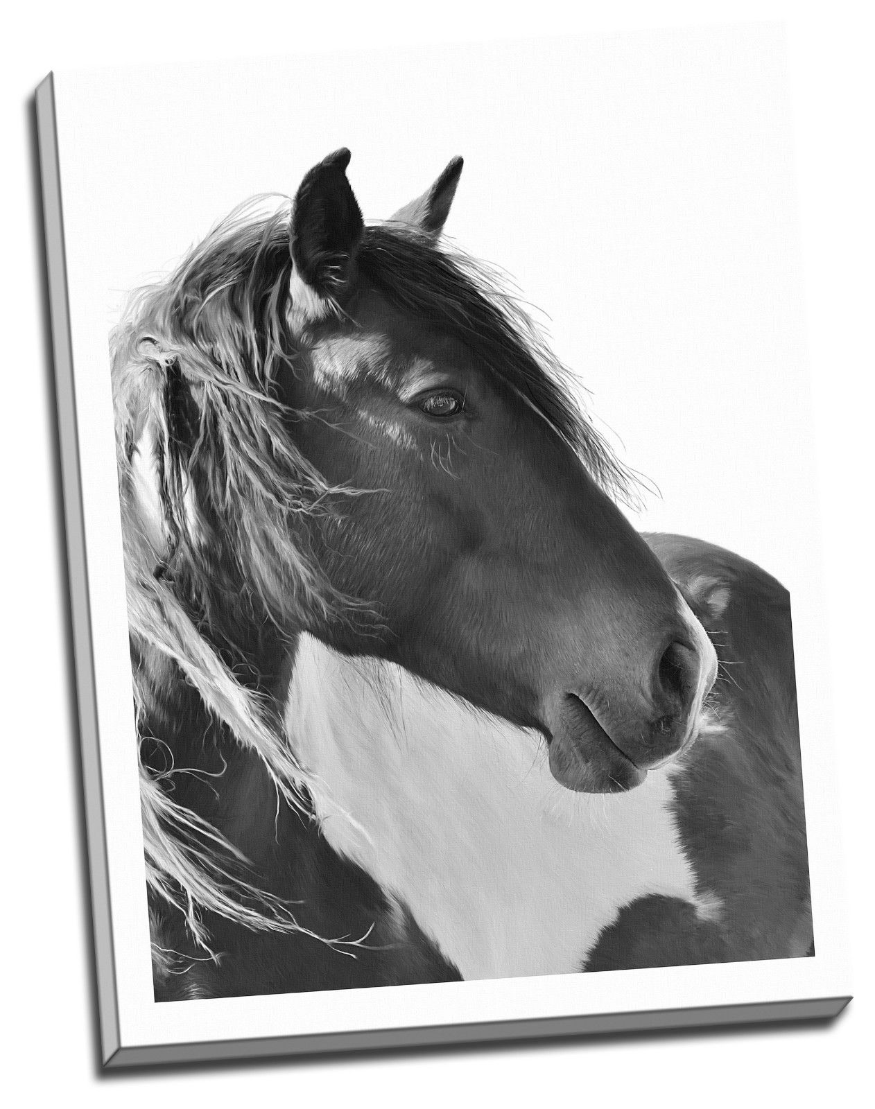Horse Portrait Face Black&White Stretched Canvas Print Framed Wall Art Home