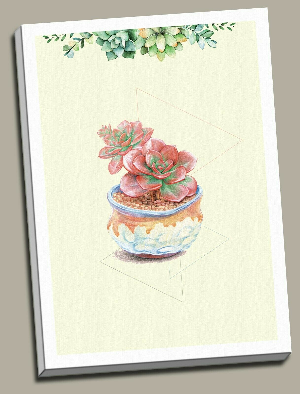 Succulents Flower Plant Framed Canvas Prints Modern Wall Art Home Balcony