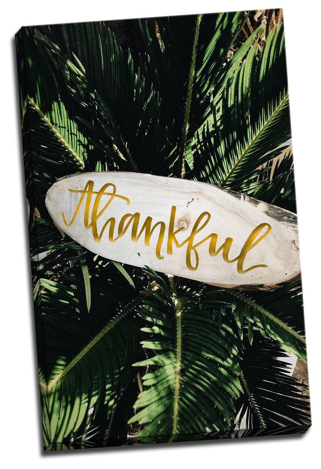 Thankful Tropical Plant Canvas Stretched Framed Printed abstract print