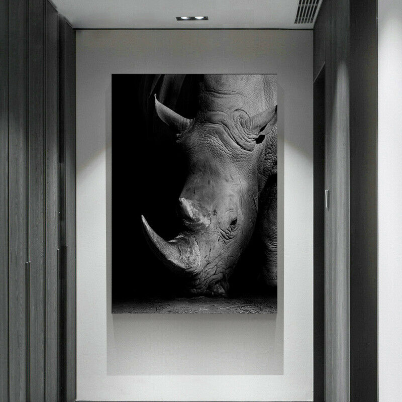 Black White Framed Canvas Giraffe Zebra Lion Elephant Rhinoceros Animal Portrait