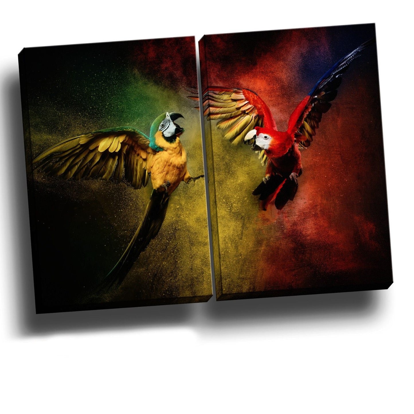 Framed birds Canvas colorful paint color pigment rainbow flying colour split
