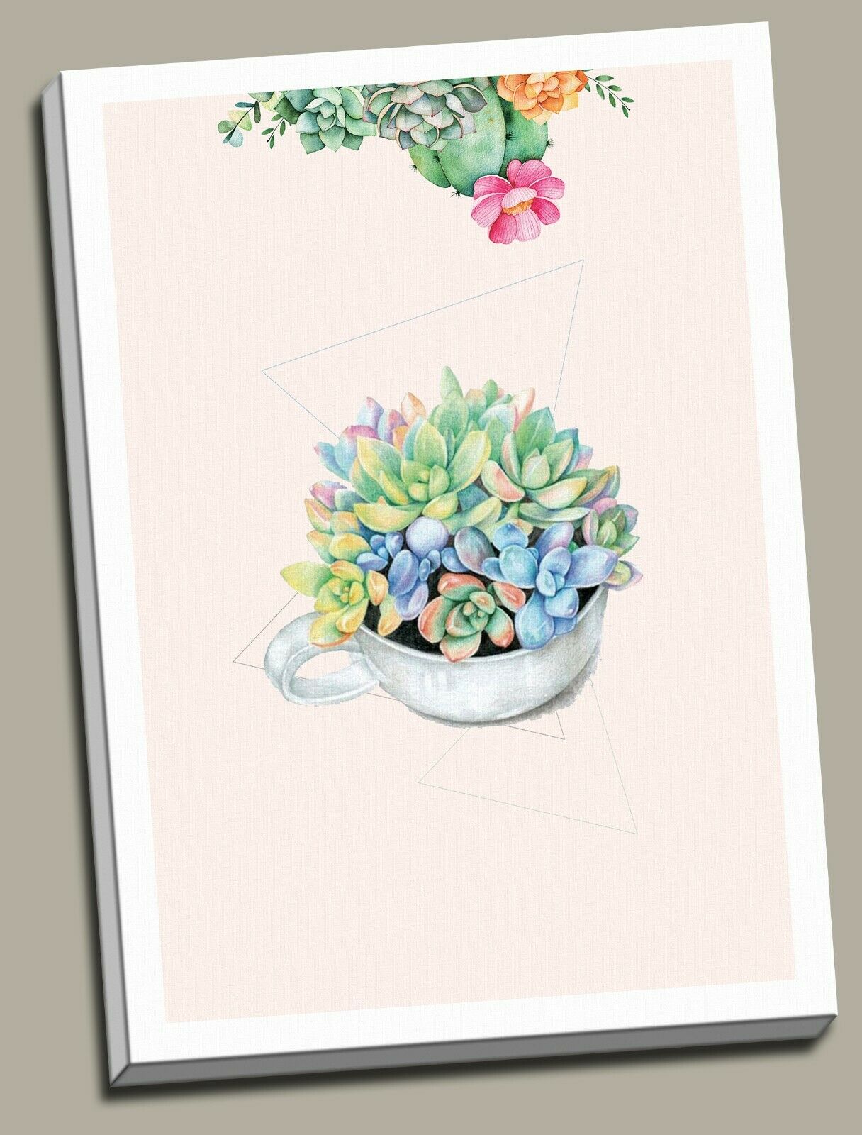 Succulents Flower Plant Framed Canvas Prints Modern Wall Art Home Balcony