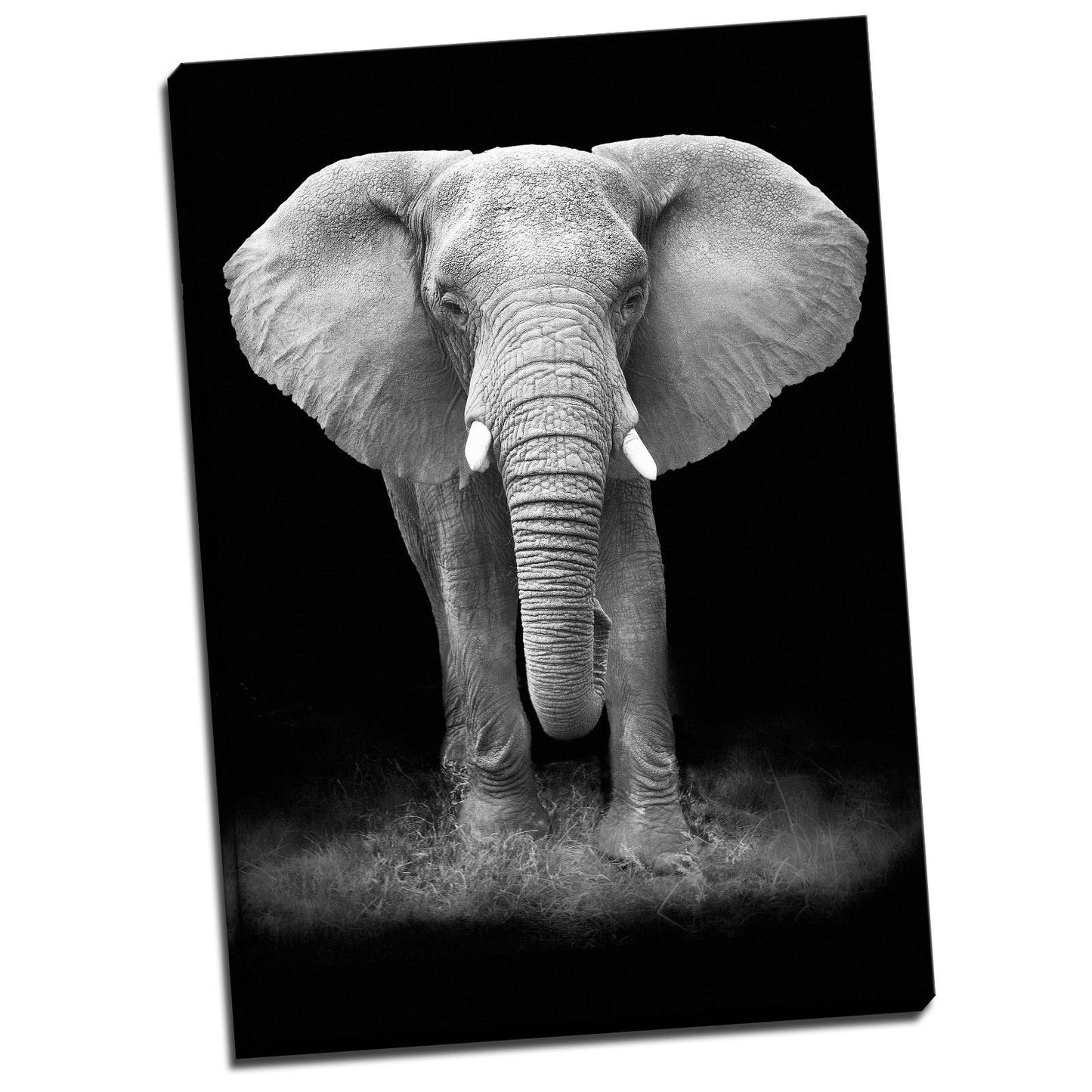 Black White Elephant Stretched Canvas Prints Wall Art Decor Framed Black&White