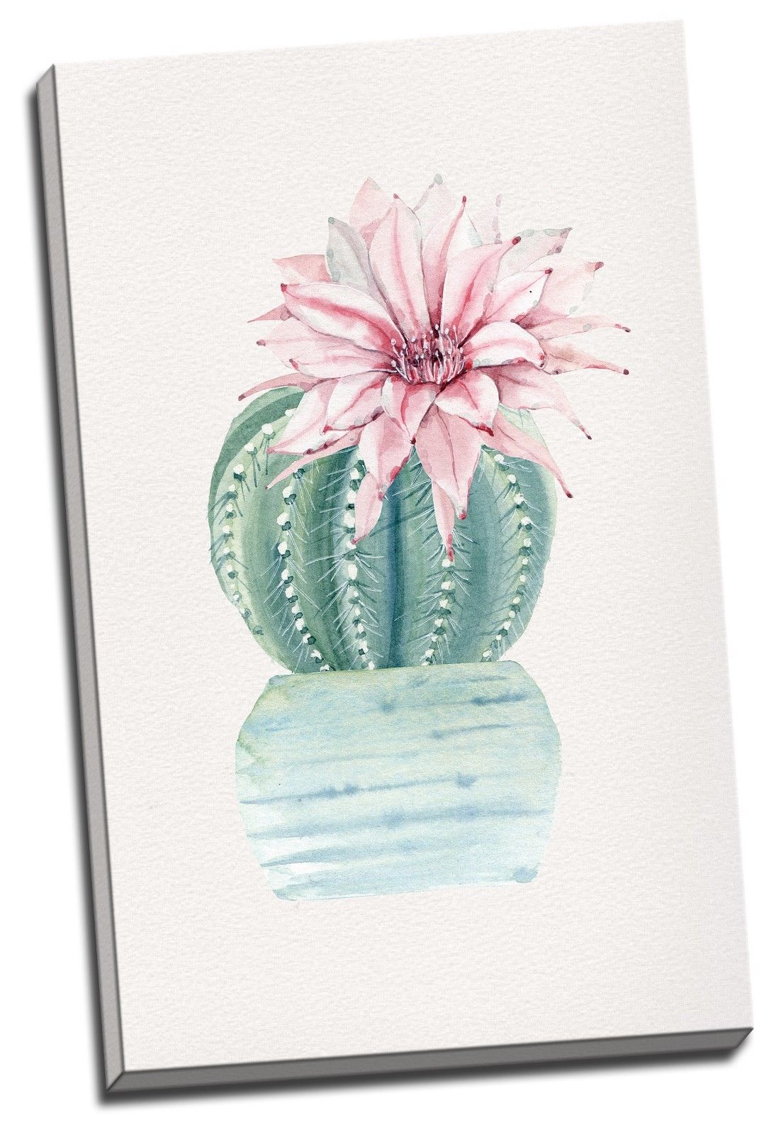 Cactus Flower Watercolour Framed Canvas Prints Modern Wall Art Home Decor Print