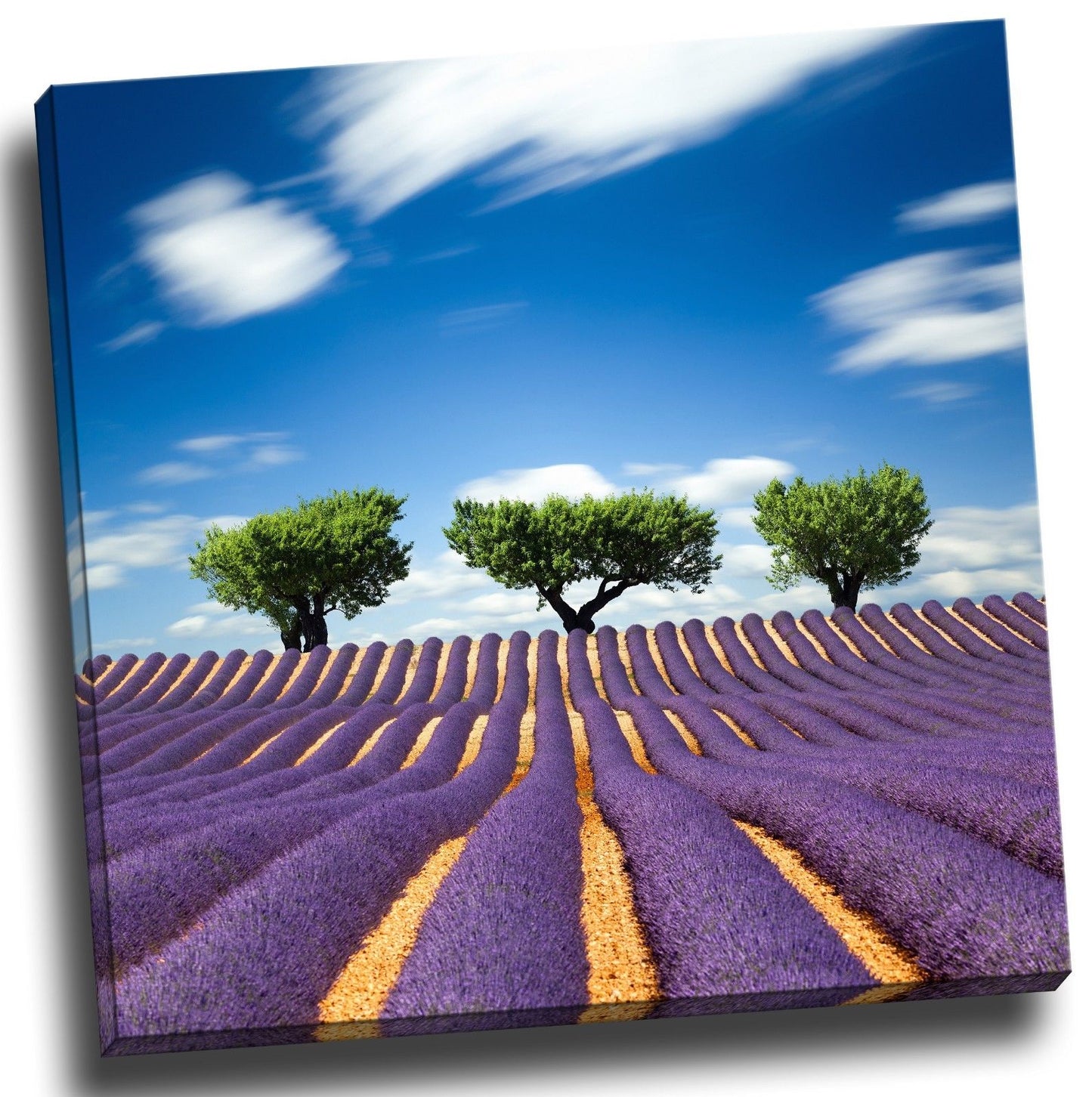 Lavender Trees Stretched Canvas Prints Framed Wall Art Home Decor Painting Gift