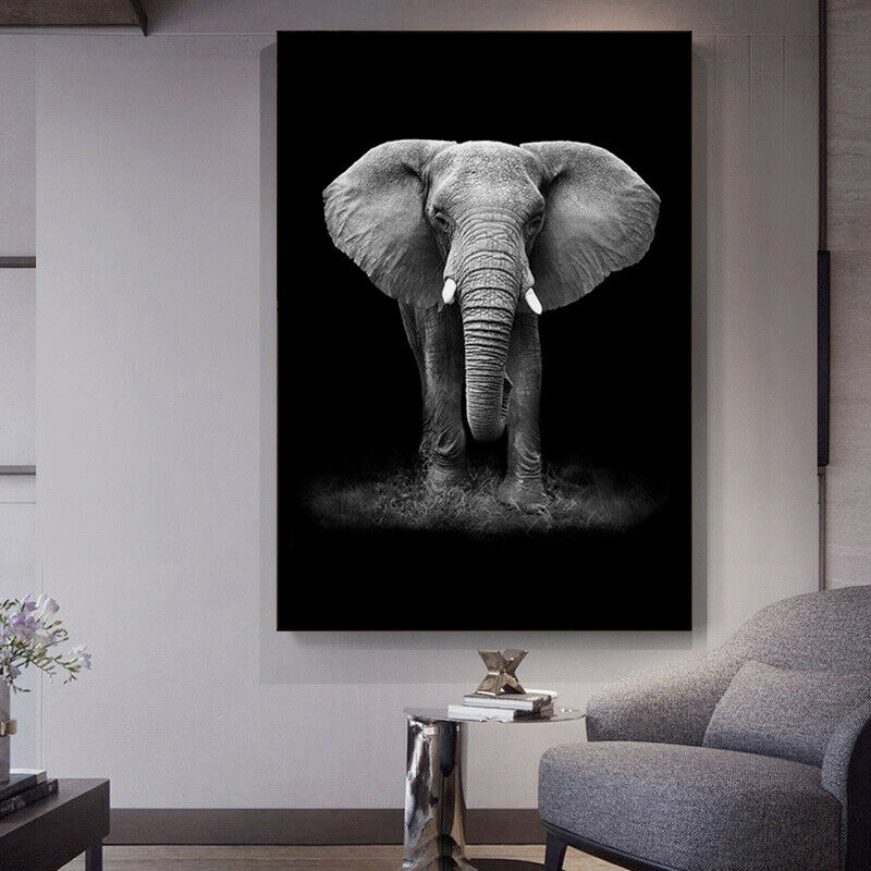Black White Framed Canvas Giraffe Zebra Lion Elephant Rhinoceros Animal Portrait