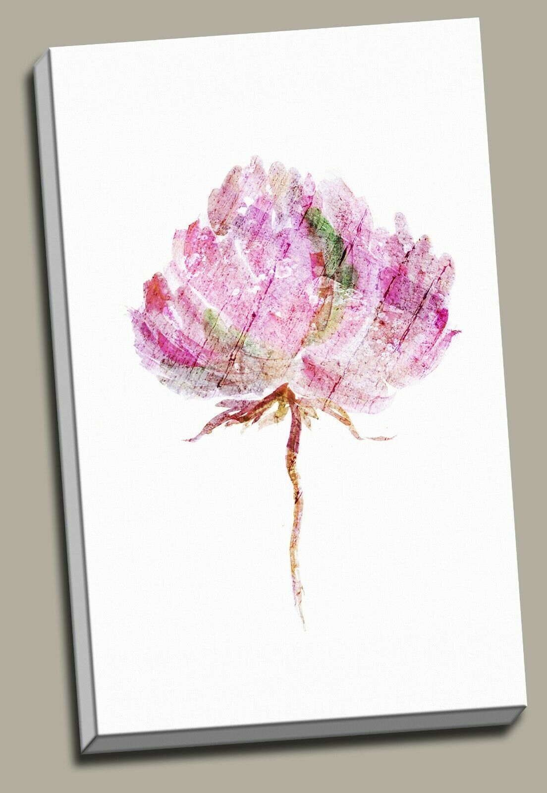 6 Designs Watercolor Flowers Framed Canvas Prints Modern Wall Art Print