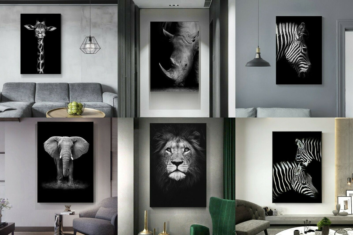 Black White Framed Canvas Giraffe Zebra Lion Elephant Rhinoceros Animal Portrait