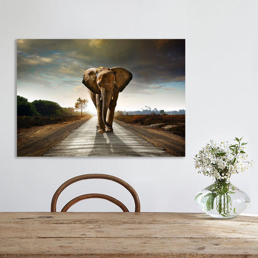 Elephant Shadow Stretched Canvas Prints Wall Art Decor Framed Wildlife Photo