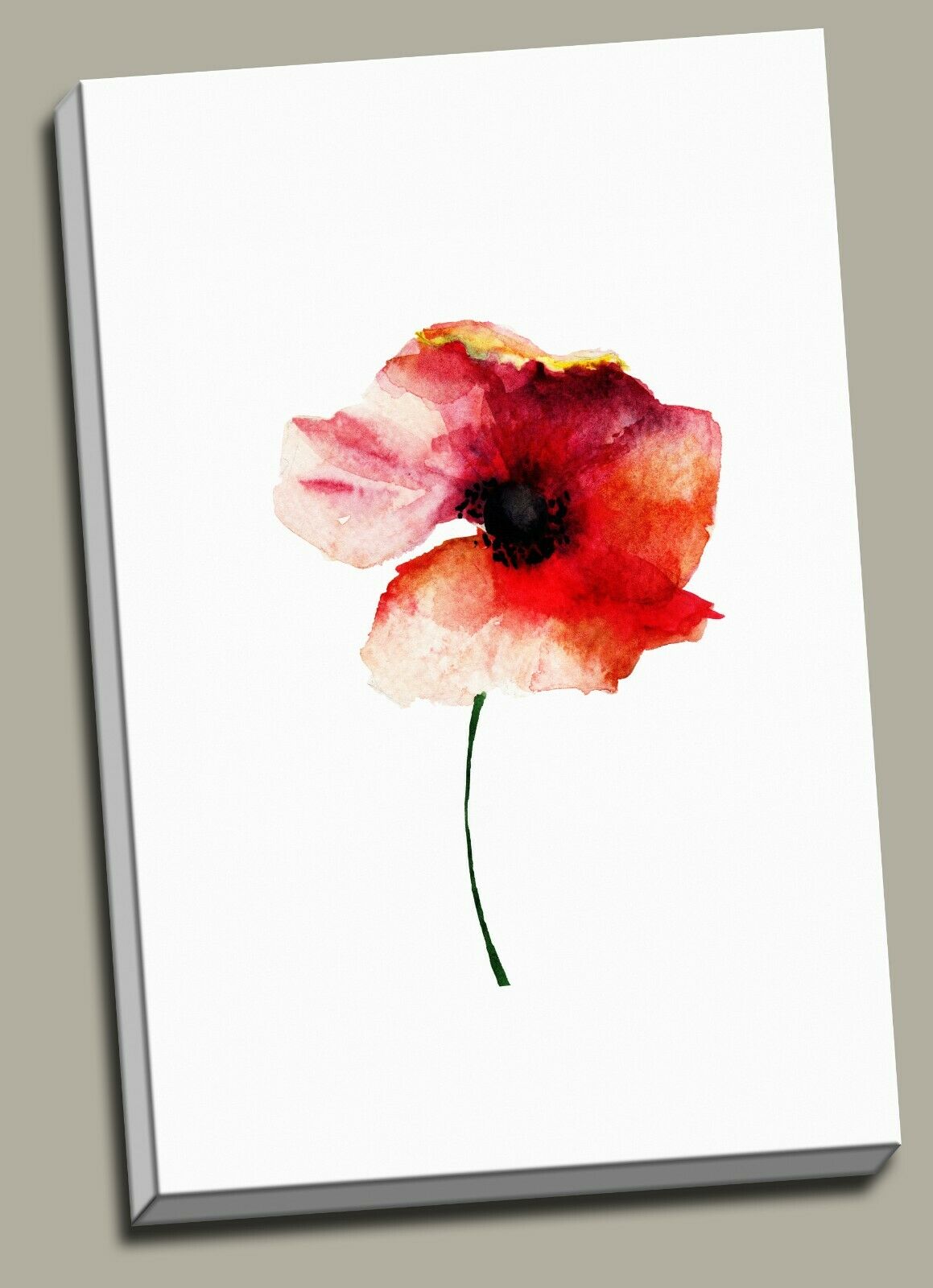 6 Designs Watercolor Flowers Framed Canvas Prints Modern Wall Art Print