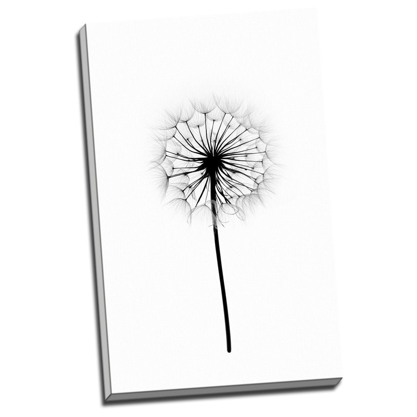Vivid Dandelion Framed Canvas Print Stretched Wall Art Home Decor Painting