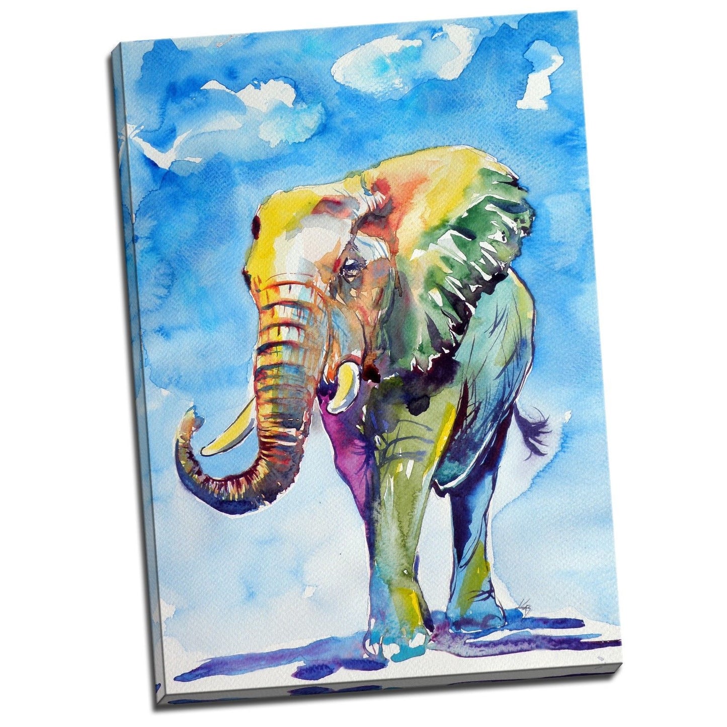 Colorful Rainbow Elephant Stretched Canvas Prints Wall Art Decor Framed Painting