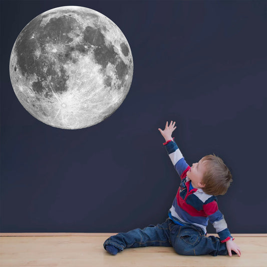 Silver Full Moon Wall Decal - BR037