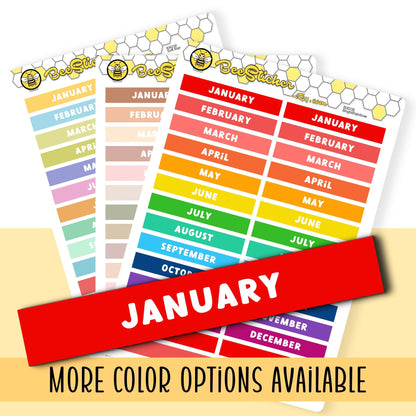 Month Header Stickers | Choose from multiple colors | Planner Stickers | BX038