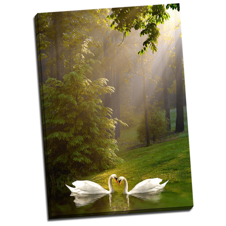 Forest Lake SWANS Stretched Pictures Canvas water reflection home art wall deco