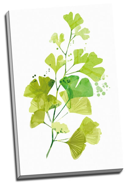 Tree leafs Watercolour Framed Canvas Prints Modern Wall Art Home Ginkgo Tree