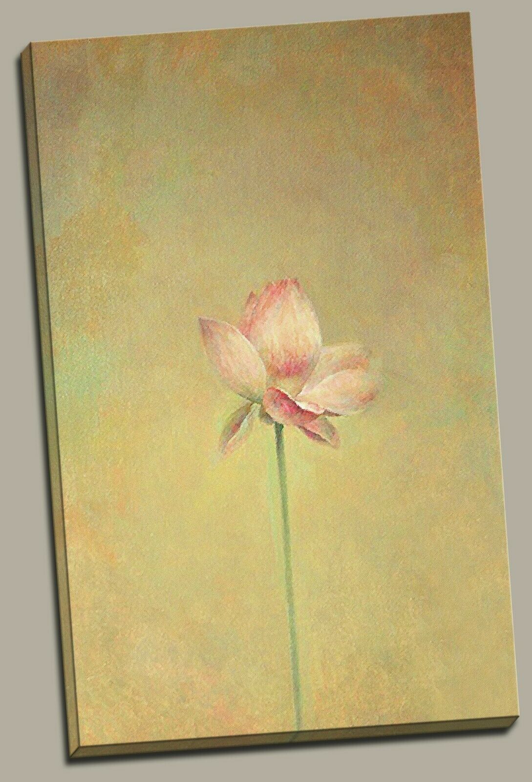 Neo Chinese Lotus painting Framed Canvas Prints Modern Wall Art Home Decor Print