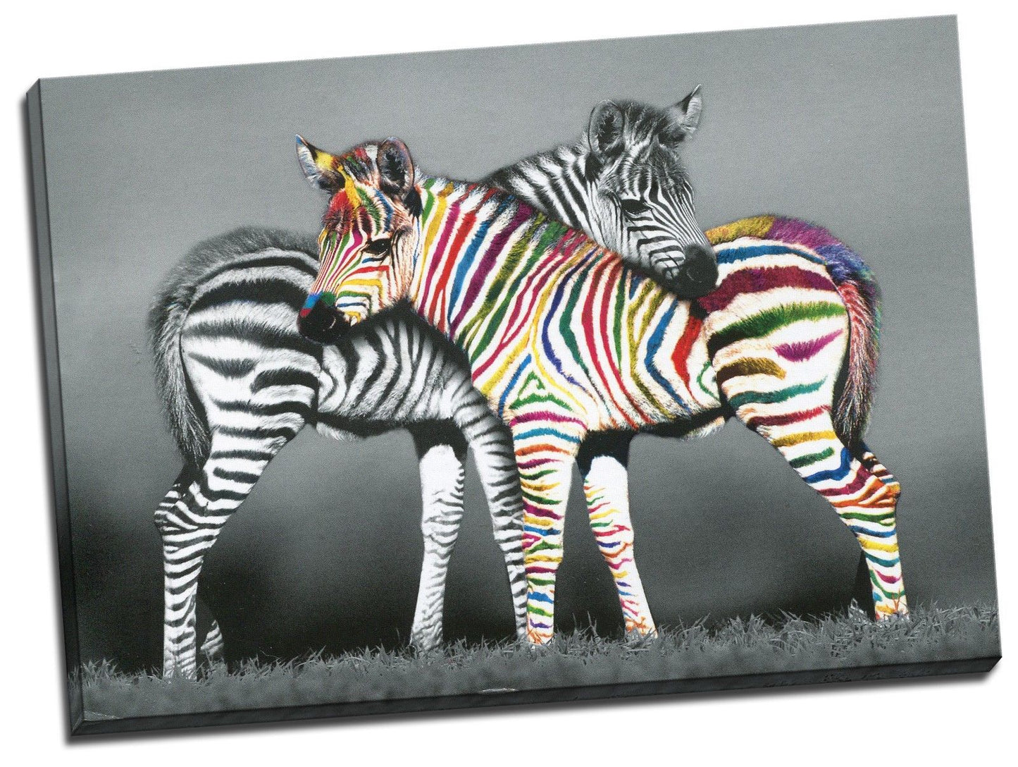 Zebra Stretched Canvas Prints Framed Hanging Wall Art Giclee Home Decor Painting