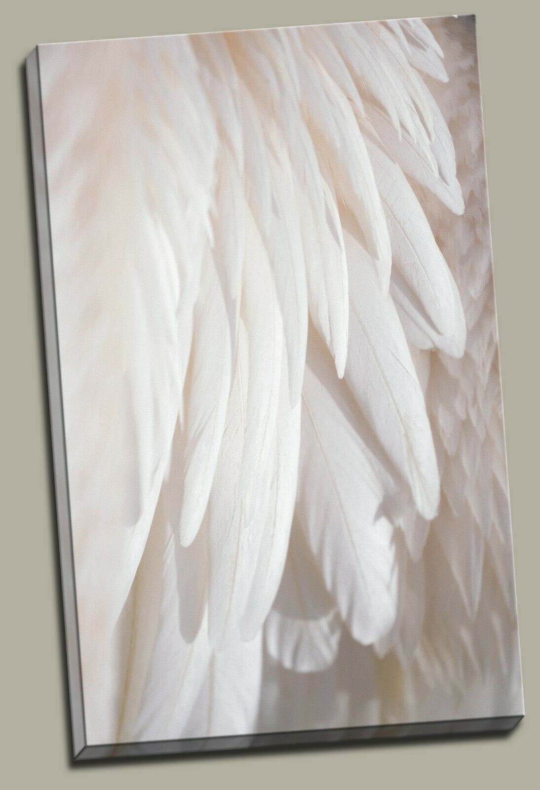 You are my Angel Feather Wing Framed Canvas Prints Modern Wall Art Home Decor