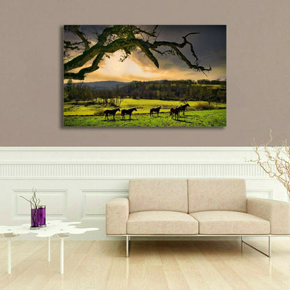 Horses Sunset Stretched Pictures Canvas cloudy filed sunrise home art wall deco