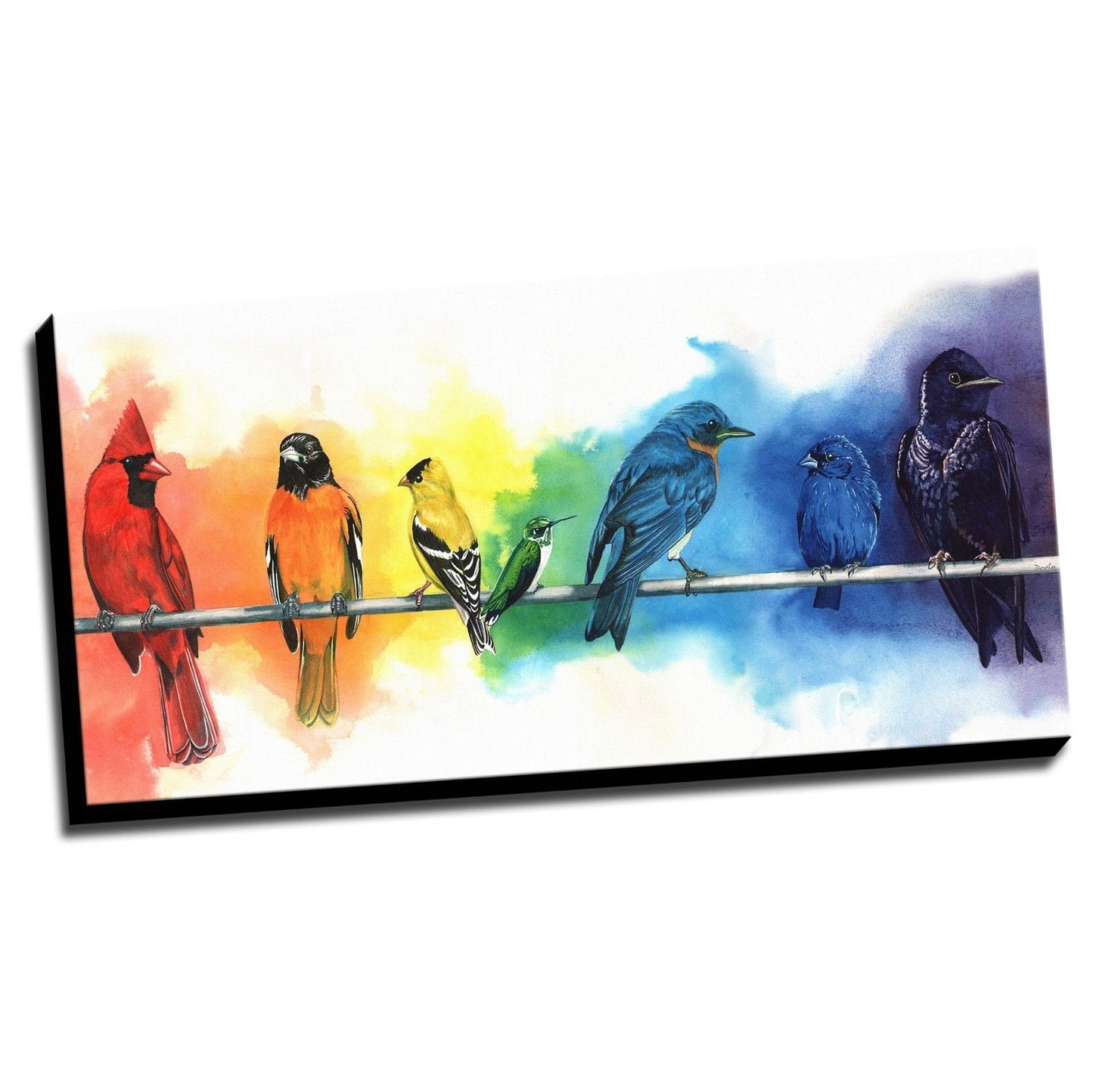 Colorful Rainbow Birds Stretched Canvas Prints Wall Art Decor Framed Painting