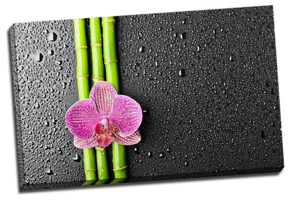 Purple Pink Orchid bamboo framed canvas Wall Art Home Decor Painting Gift