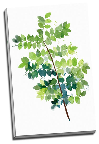 Tree leafs Watercolour Framed Canvas Prints Modern Wall Art Home Ginkgo Tree