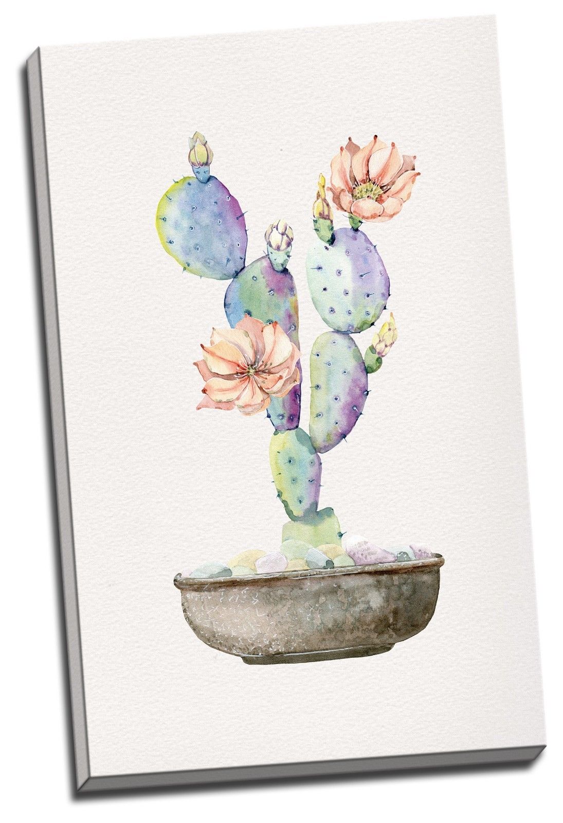 Cactus Flower Watercolour Framed Canvas Prints Modern Wall Art Home Decor Print