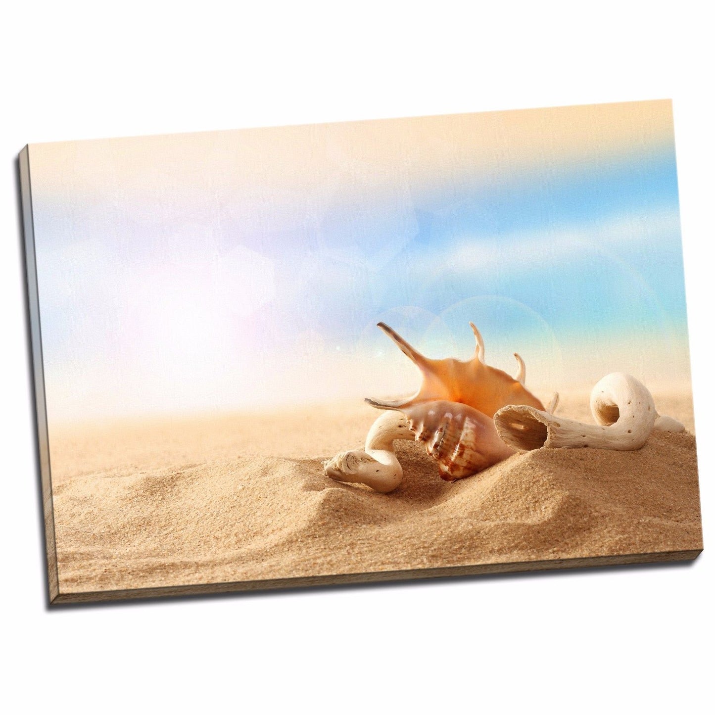 Stretched Canvas prints seascape print Sunlight glares Beach sands shell shells