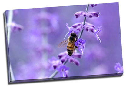 Lavender Bee Stretched Canvas Prints Framed Wall Art Home Decor Painting Gift