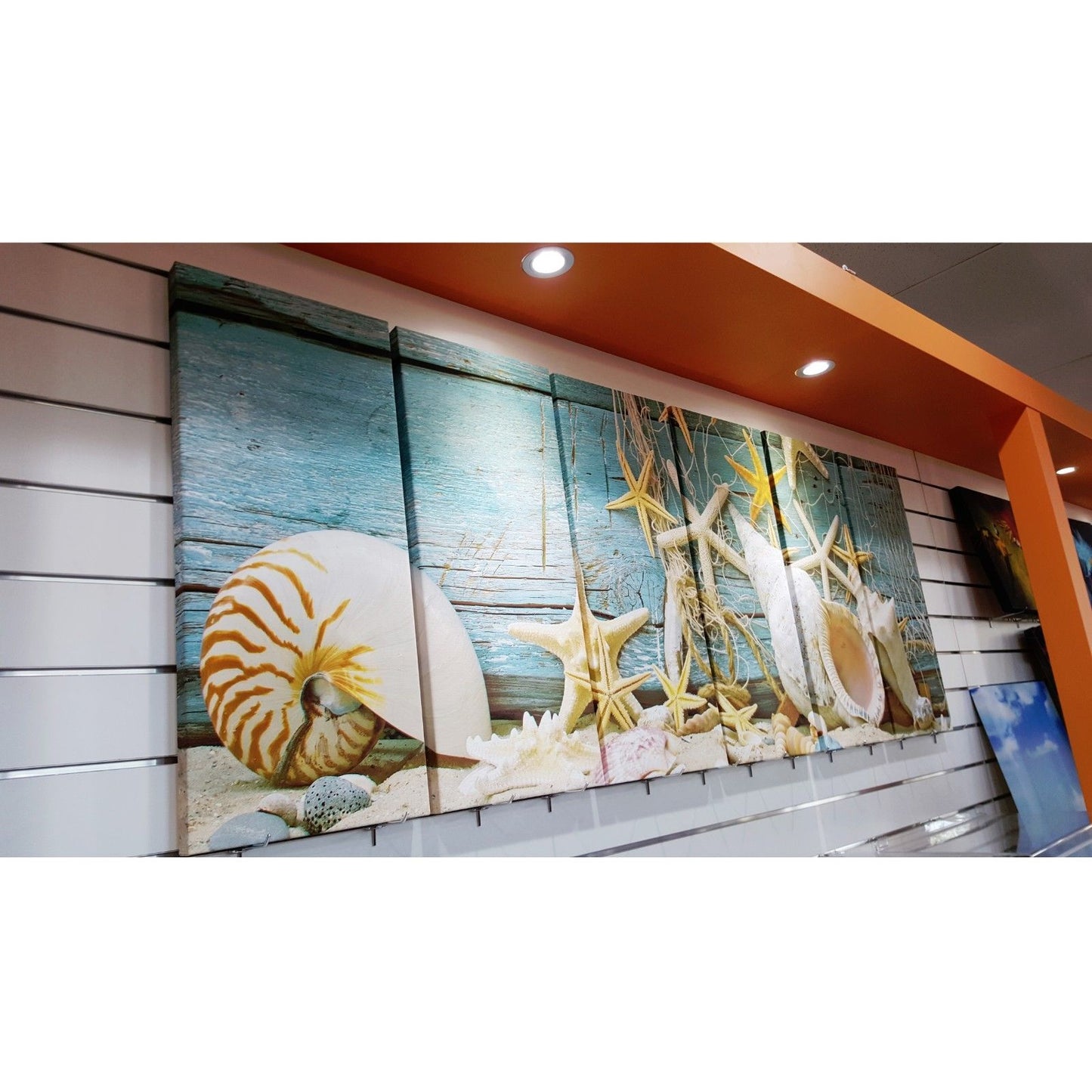 Framed canvas prints seascape print shell beach sand starfish modern wall art