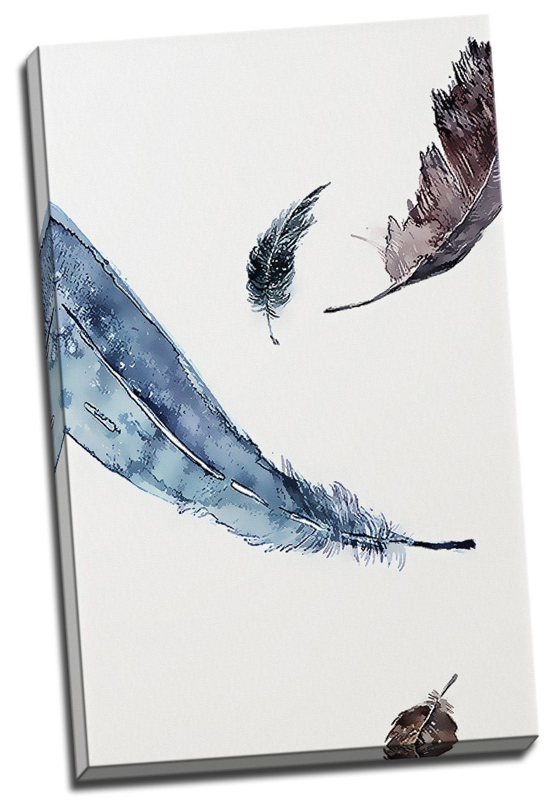 Watercolour Blurred Feather Framed Canvas Prints Modern Wall Art Home Decor