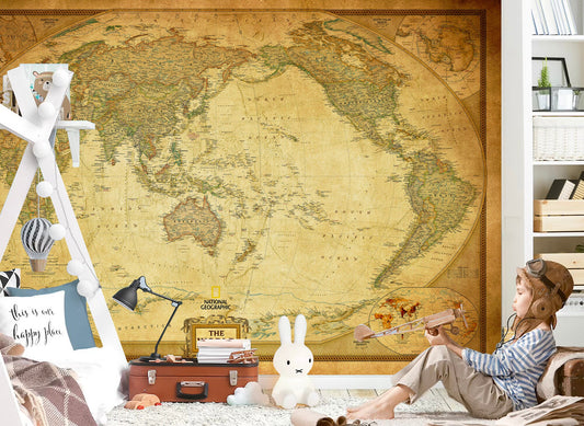 Vintage National Geographic Political World Map Fabric Wallpaper - Wall Murals - WM003