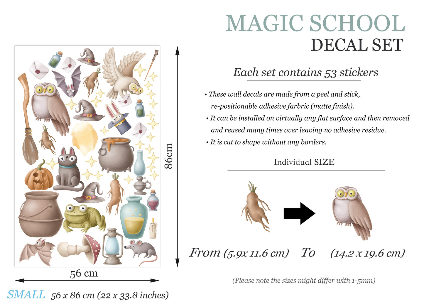Enchanted Magic Academy Wall Decal -  Eagles Brooms Potion Bottles Wands & Hats - BR286